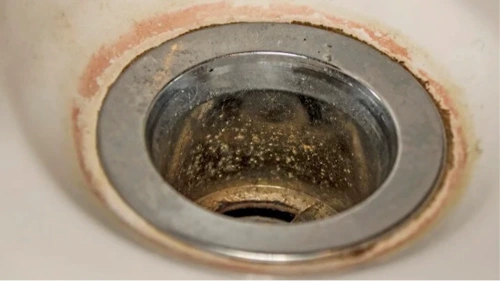 Partial grease and mineral scale removal by drain snaking